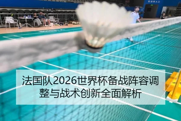法国队2026世界杯备战阵容调整与战术创新全面解析